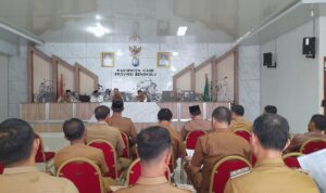IMG-20241114-WA0002
