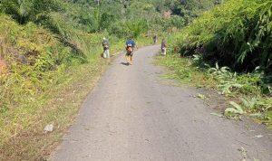 IMG-20251106-WA0019