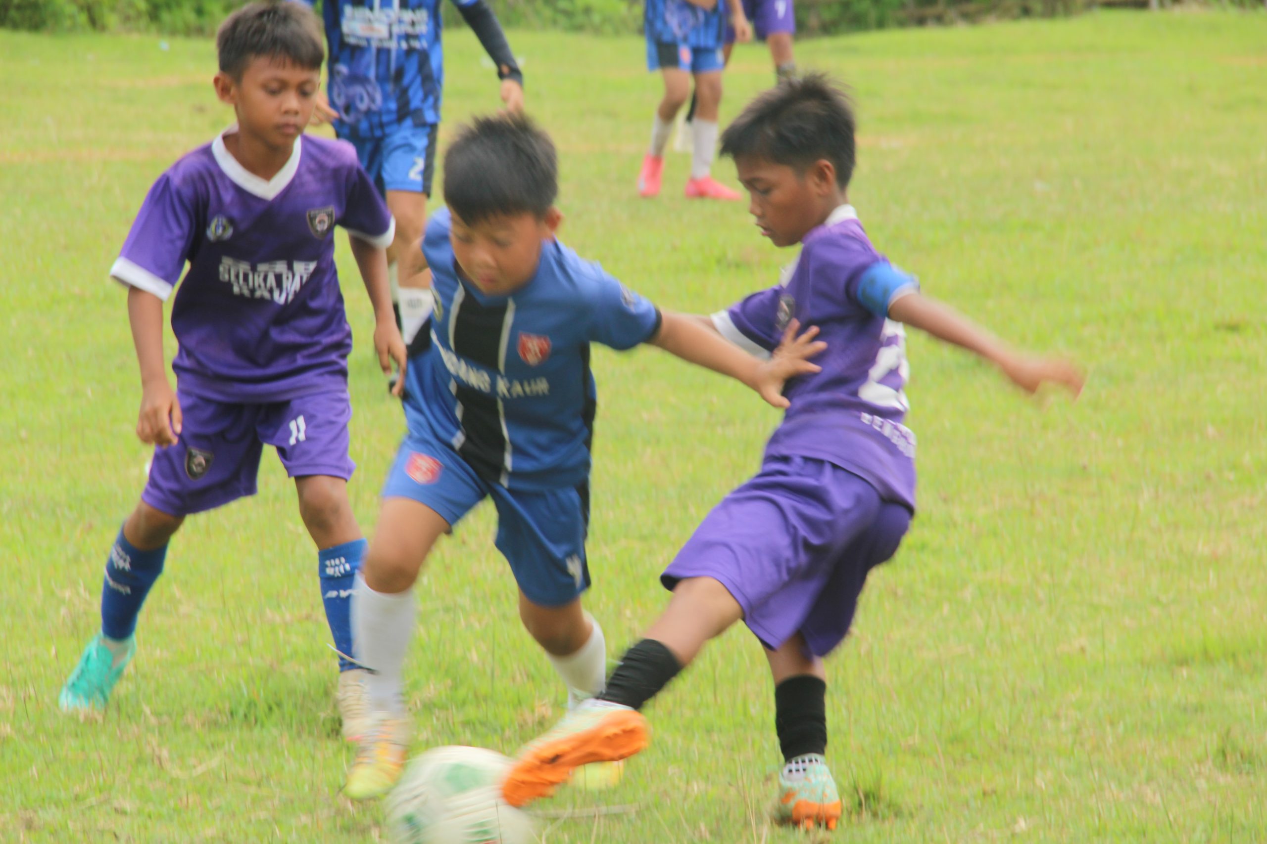 Ssb Terbaik Provinsi Bengkulu